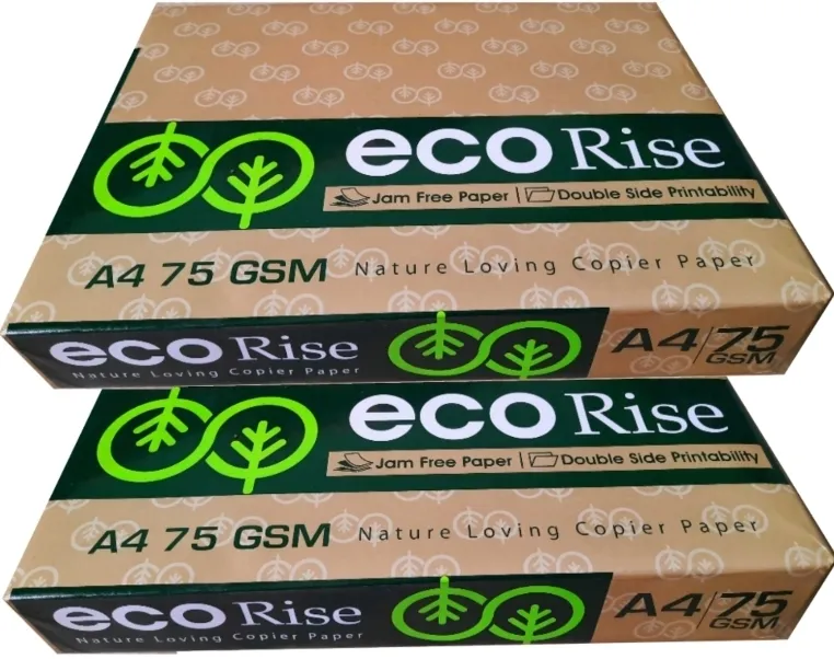 Eco Rise Printing Copy A4 Size JK Paper Eco Tree Friendly 75 GSM 500 Sheet Pack of 2
