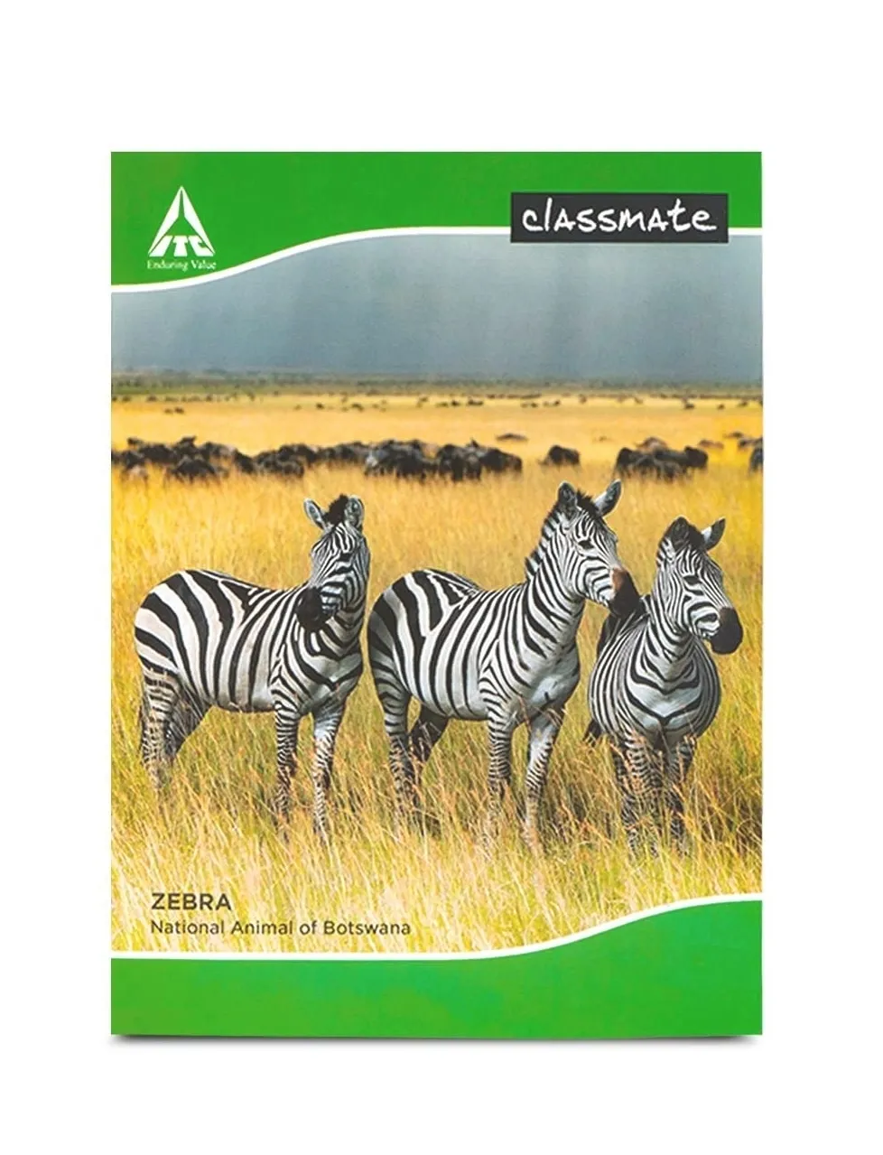 Classmate Hindi Practical Notebook Soft Cover Single Line Interleaf 172 Pages 24X18 CM Pack of 1