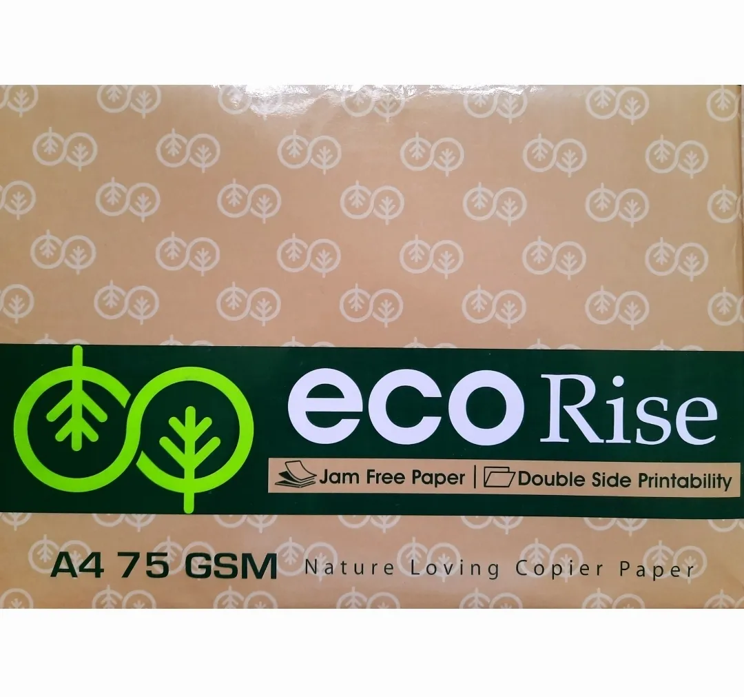 Eco Rise Printing Copy A4 Size JK Paper Eco Tree Friendly 75 GSM 500 Sheet Pack of 1
